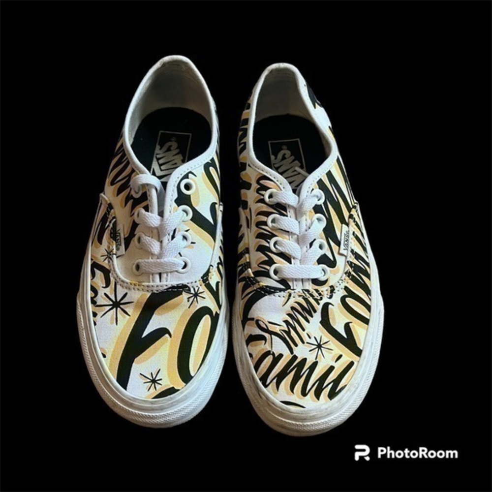 Vans Family edition skater shoes